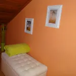 Orange Flower Apartments