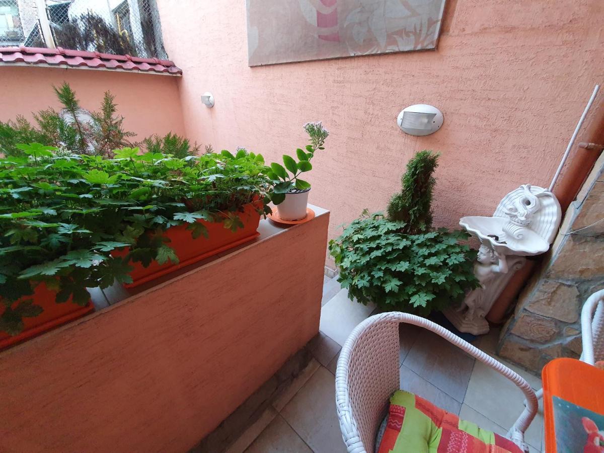 Orange Flower Appartement